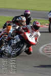 nicksnetterton02n031004_b.jpg (81838 bytes)