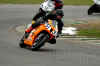 snett200304andrew2.jpg (66107 bytes)