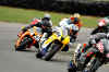 snett200304andrew3.jpg (82142 bytes)