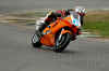 snett200304nick.jpg (67512 bytes)