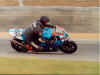 andrewbrands251003a.jpg (53729 bytes)
